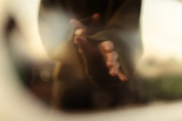 Kaszinó Royal Slots Támogatás